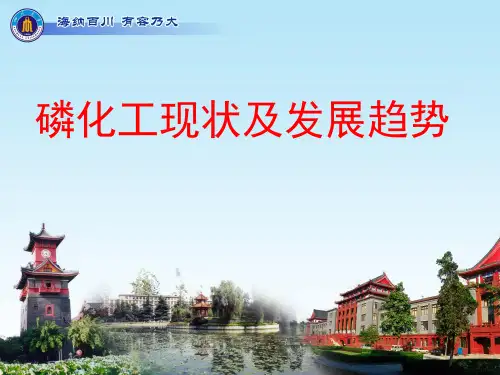 磷化工简介 ppt课件