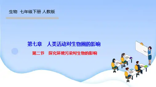 人教版七年级生物下册作业课件 第七章 人类活动对生物圈的影响 第二节 探究环境污染对生物的影响