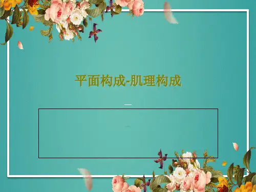 平面构成-肌理构成31页PPT