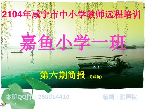 教师研修第六期简报(总结篇)