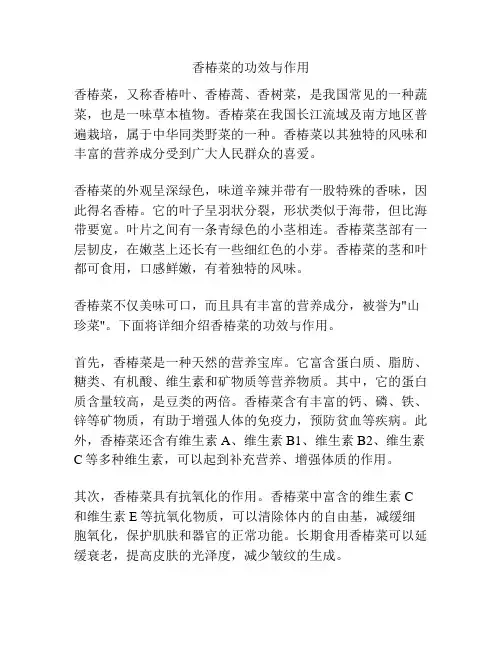 香椿菜的功效与作用