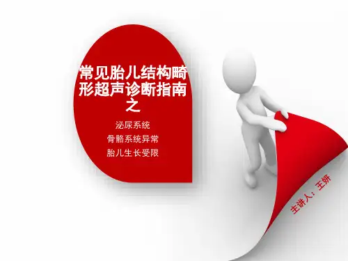 胎儿骨骼、泌尿系统异常