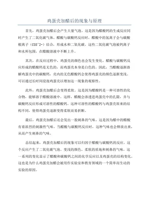 鸡蛋壳加醋后的现象与原理