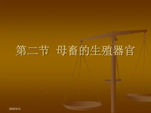 第二节母畜生殖器官-PPT文档资料