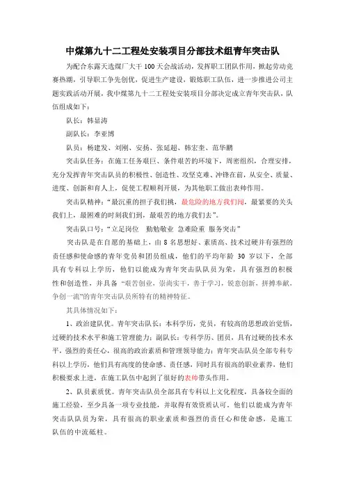青年突击队材料