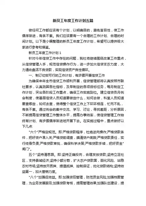 新员工年度工作计划五篇