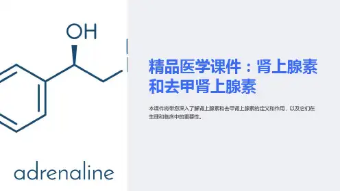 《医学课件：肾上腺素和去甲肾上腺素》