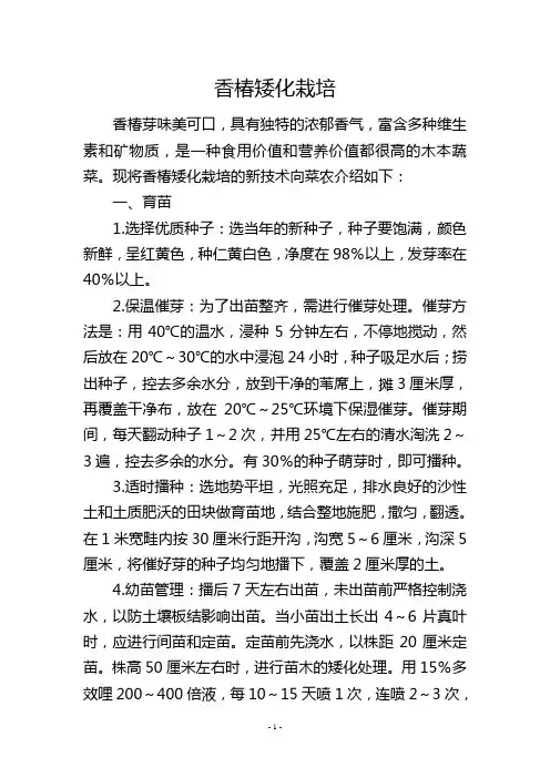 香椿矮化栽培