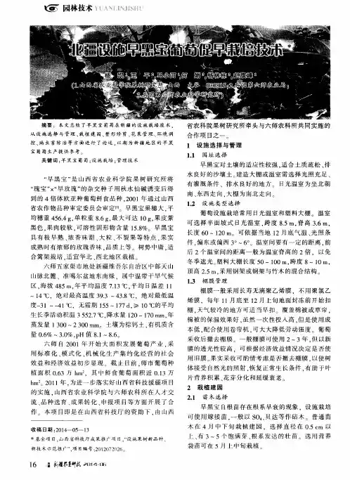 北疆设施早黑宝葡萄促早栽培技术