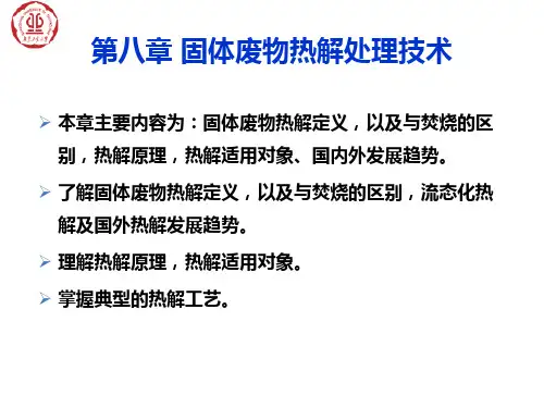 固体废物热解处理技术