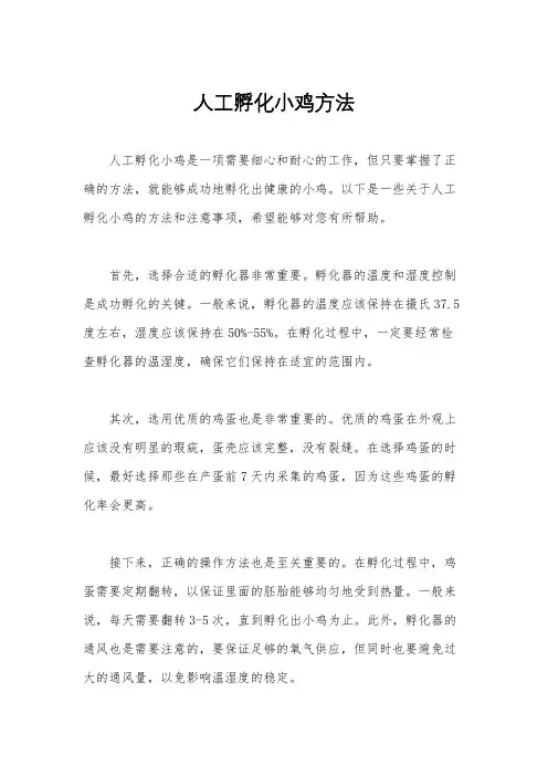 人工孵化小鸡方法