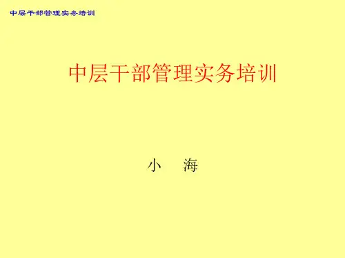 中层干部管理实务