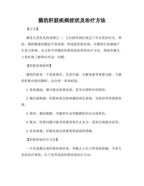 猫的肝脏疾病症状及治疗方法