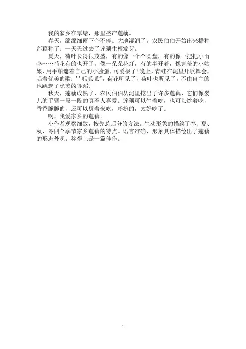 最新家乡的莲藕作文