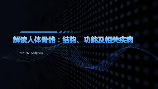 人体骨骼结构讲解课件