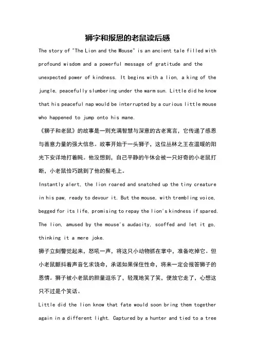 狮字和报恩的老鼠读后感