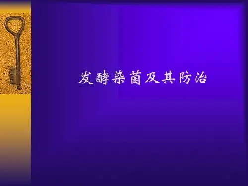 发酵染菌及其防治