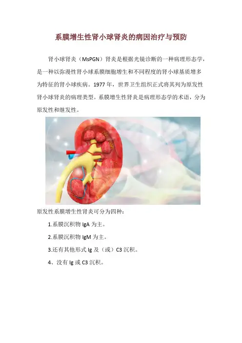 系膜增生性肾小球肾炎的病因治疗与预防