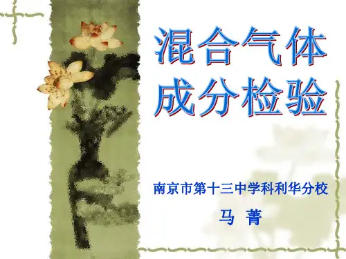 混合气体的检验