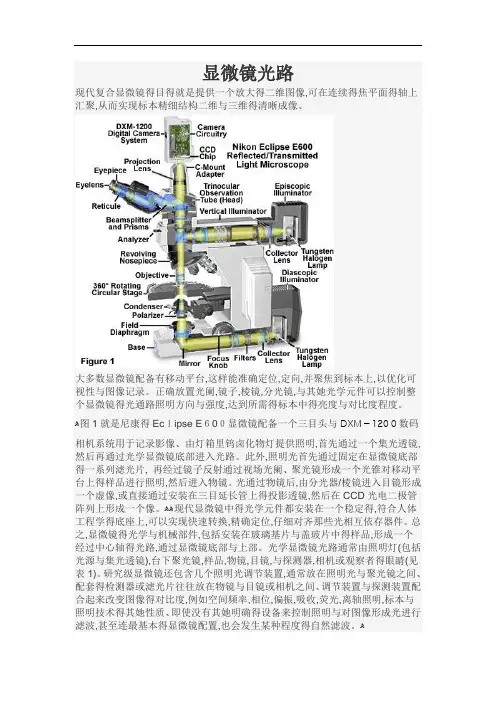 显微镜光路