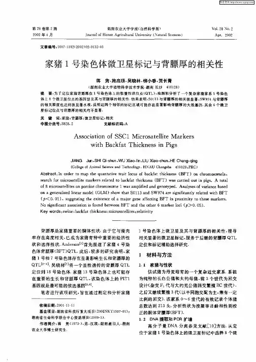 家猪1号染色体微卫星标记与背膘厚的相关性