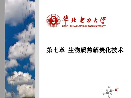 第7章 生物质热解炭化技术