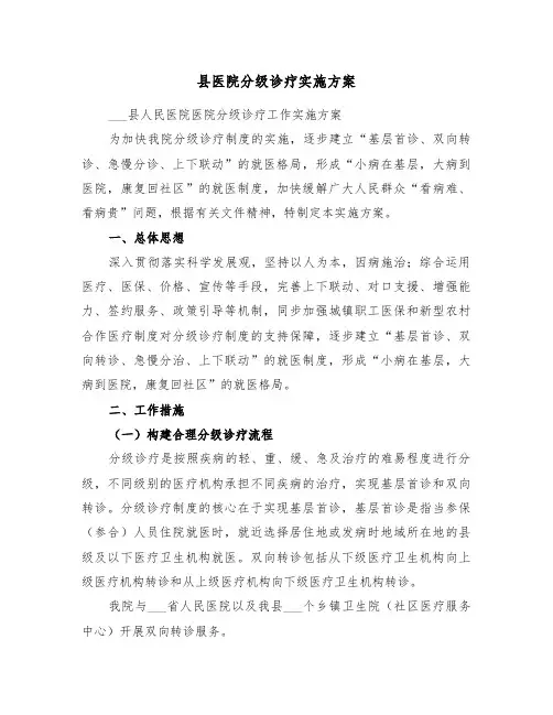 县医院分级诊疗实施方案(3篇)