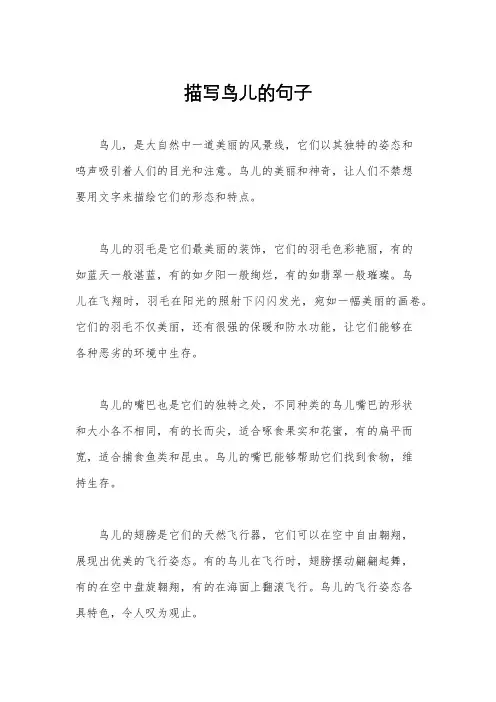 描写鸟儿的句子