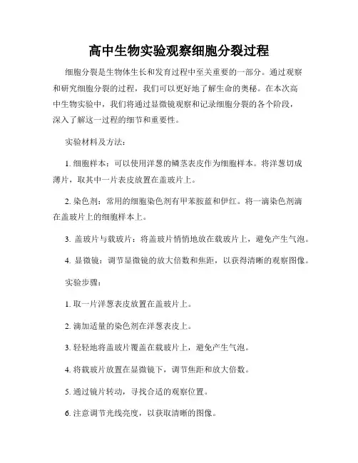 高中生物实验观察细胞分裂过程