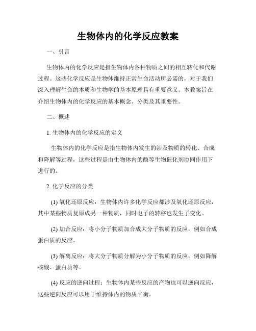 生物体内的化学反应教案