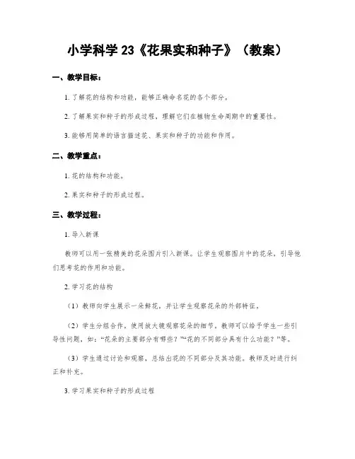 小学科学23《花果实和种子》(教案)