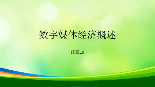 数字媒体经济概述(ppt 80页)