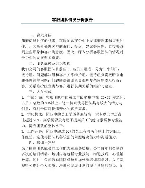 客服团队情况分析报告