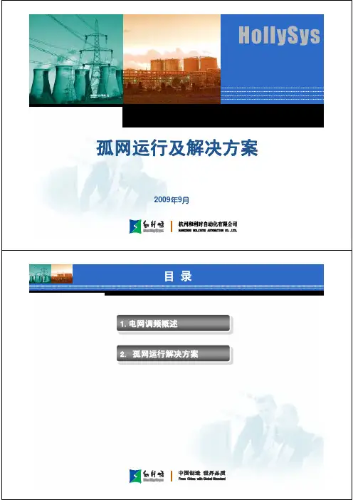 孤网运行及解决方案