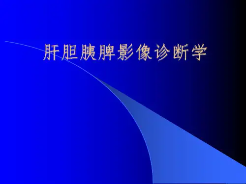 腹部医学影像诊断PPT