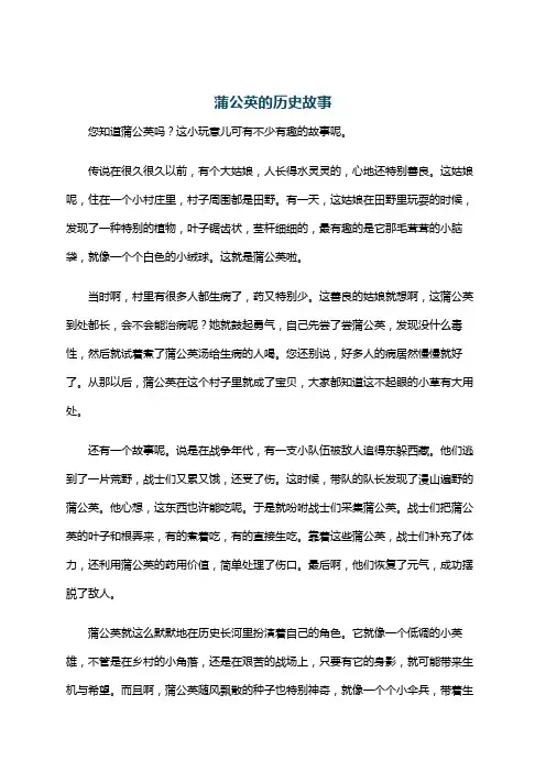蒲公英的历史故事