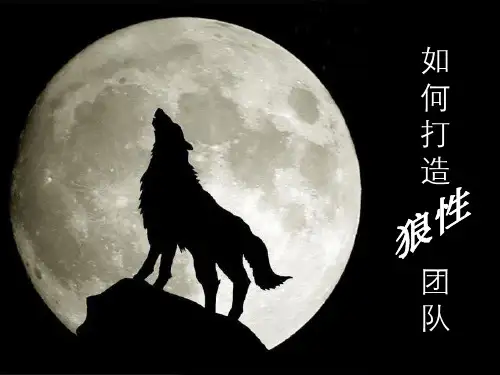 如何打造狼性团队