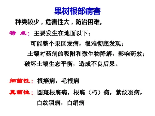 1. 果树根部病害