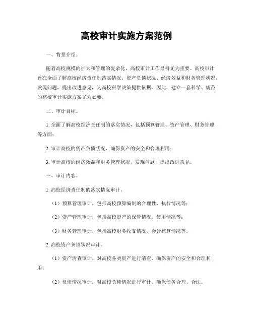 高校审计实施方案范例