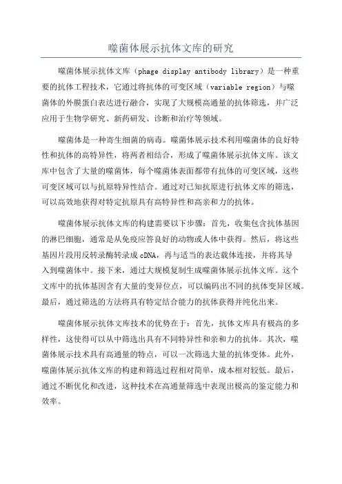 噬菌体展示抗体文库的研究