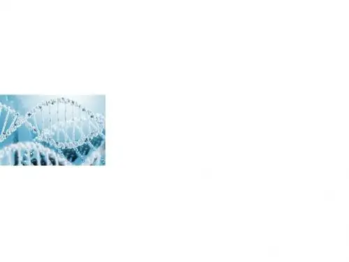 高考生物一轮复习生物的变异与进化ppt