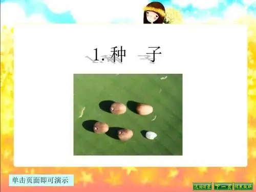 最新语文S版四年级语文下册1、种子ppt课件(ppt公开课优质教学课件)B