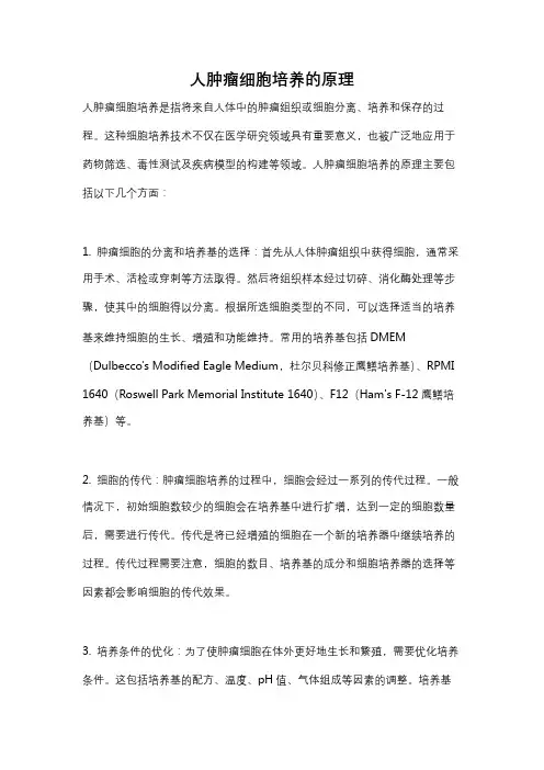 人肿瘤细胞培养的原理