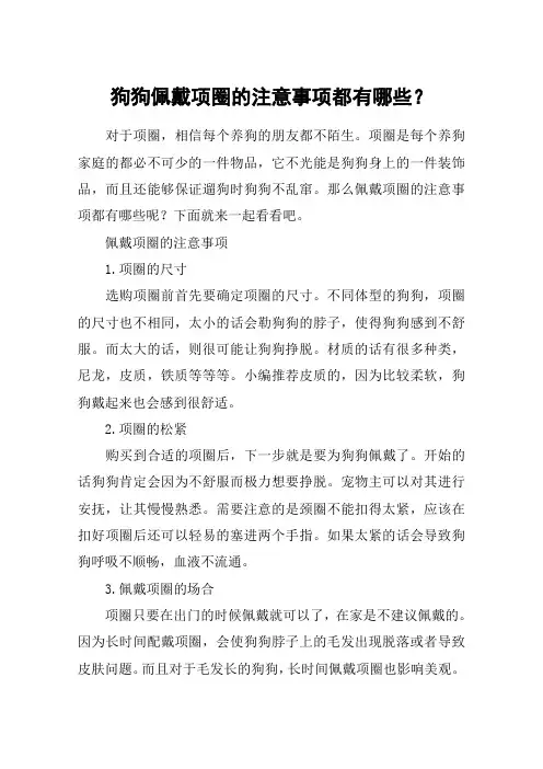狗狗佩戴项圈的注意事项都有哪些？