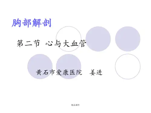 医学影像解剖学-胸部-心与大血管