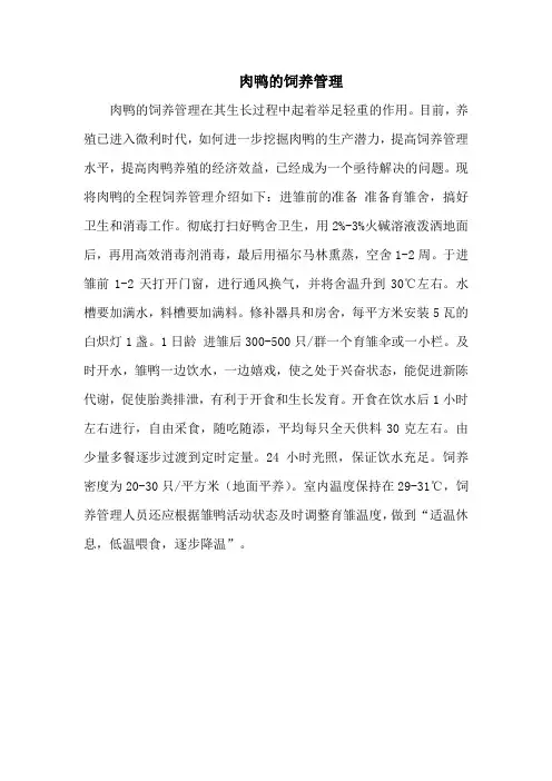 肉鸭的饲养管理