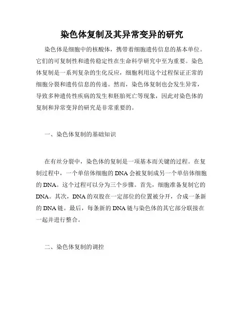 染色体复制及其异常变异的研究