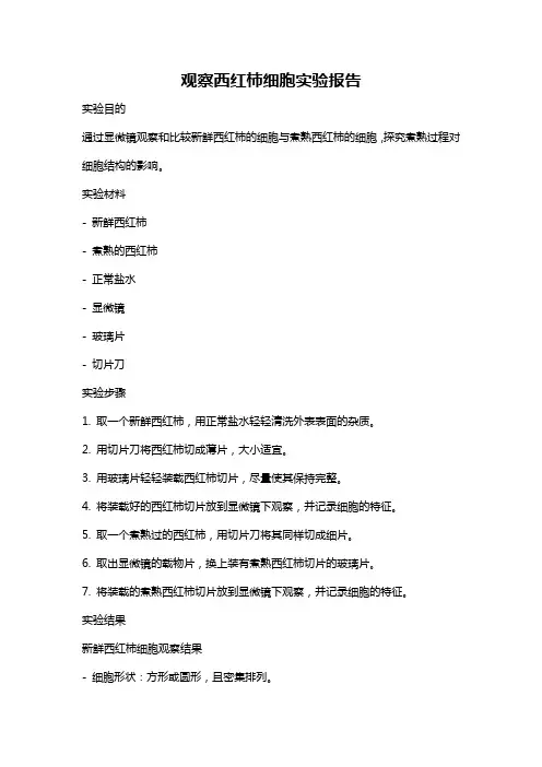 观察西红柿细胞实验报告