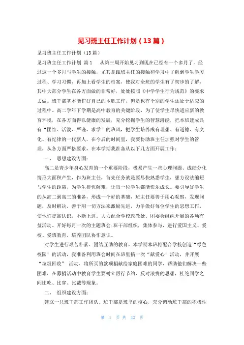 见习班主任工作计划(13篇)