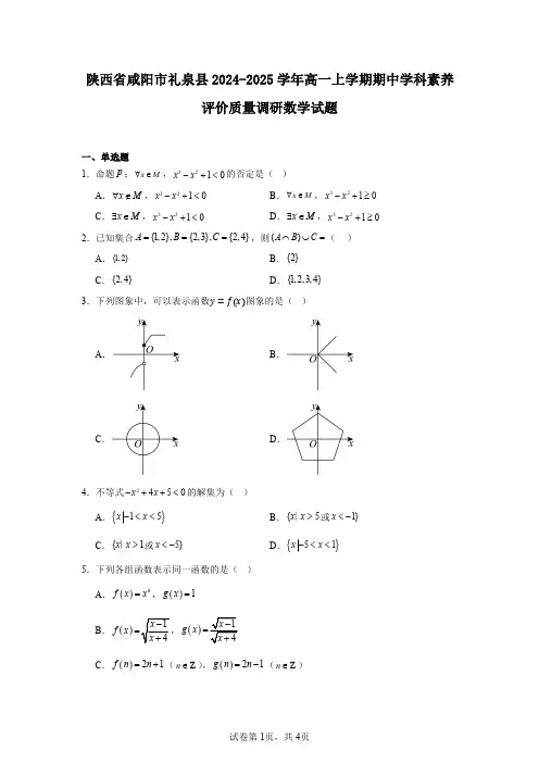 陕西省咸阳市礼泉县2024-2025学年高一上学期期中学科素养评价质量调研数学试题